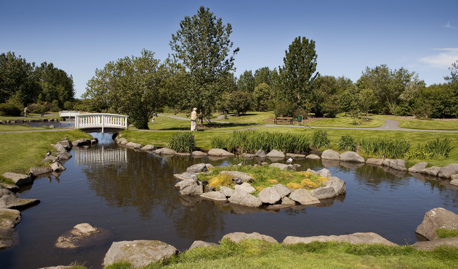 The botanical garden on a sunny day 