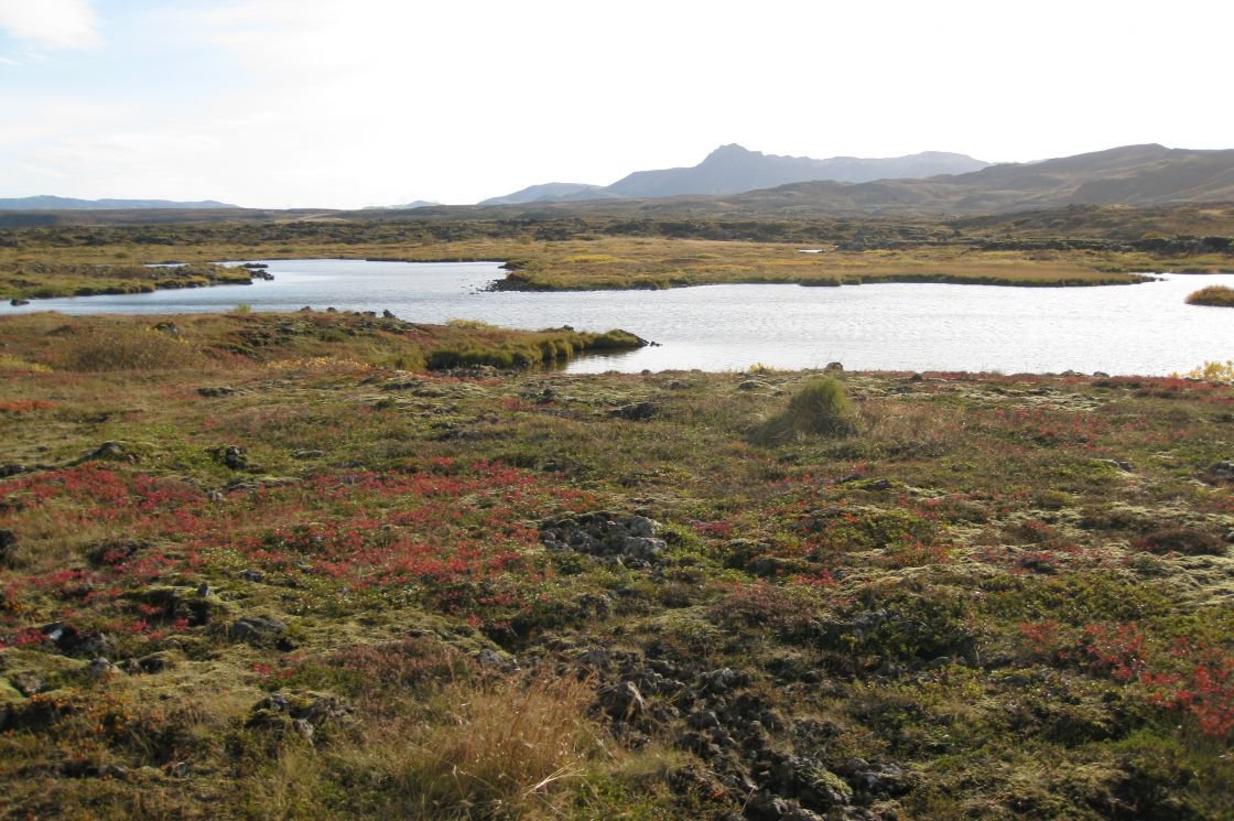 Heiðmörk Nature Reserve